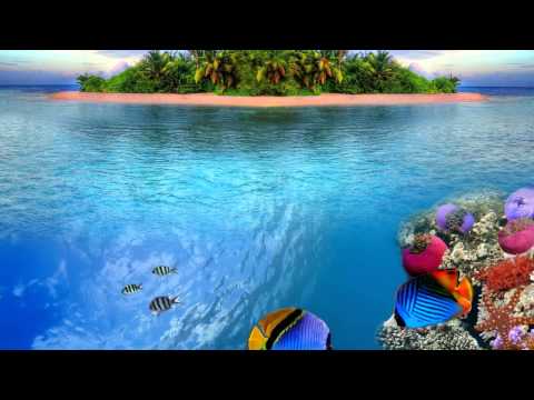 InnerSync - Blue Reef