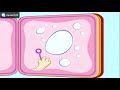 Scenes For Jaclyn Bachik Joe Judd Richard Smart The Others Bubbles Videos