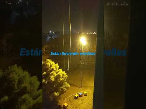 la 1:00 de la mañana está lloviendo en viedma rio negro 🇦🇷🌧️🌧️