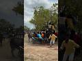 Viral Jallikattu Manjuvirattu Manjuvirattu Kadhalan Shortsviral Shortvideos Svg Bull