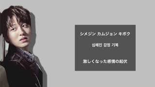 SF9/Fall Down/日本語字幕