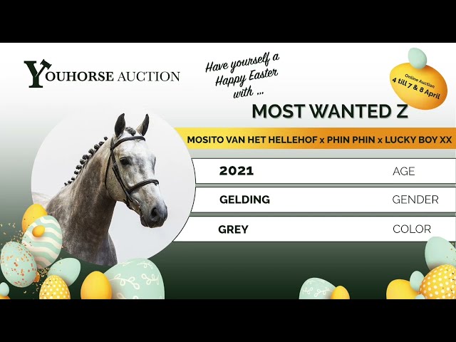 Most Wanted showvideo