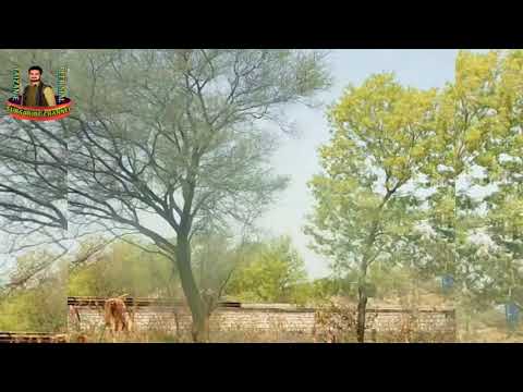 Travelling To Kalar Kahar| Relaxing Free Musice #shorts