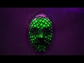 MAMA - Venga Venga  [Official Music Video]