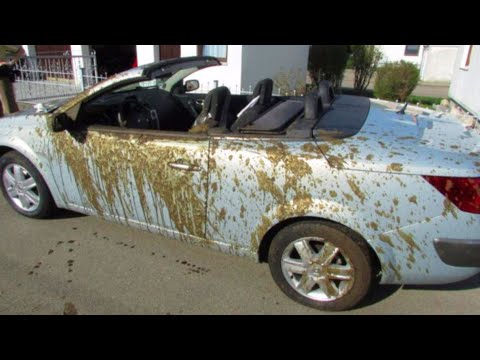 r/Nuclearrevenge I Filled His Car with Liquid Poo