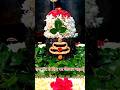 Bilvashtakam बिल्वाष्टकम् Tridalam Trigunakaram Trinetram Chh Triyayuddham B