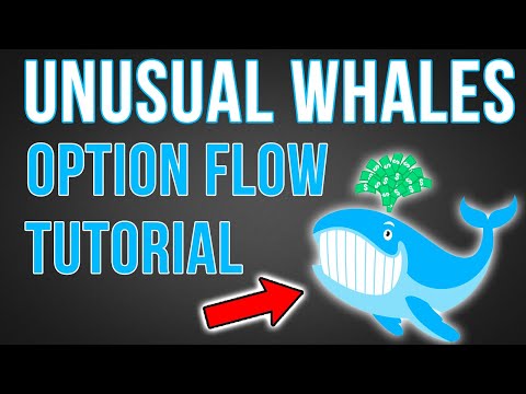 How To Follow Large Option Order Flow | Unusual Whales Options Flow Tutorial