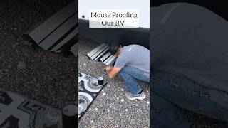 Mouse Proofing Our RV #rvlife #rv