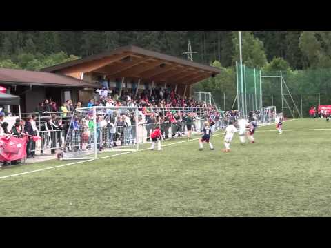 Cordial cup 2011 Austria (U11) winner Főnix Gold FC Fehérvár