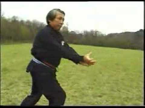 Pachi Tanglang Chuen y Tao (Kung Fu) - Maestro Su Yu Chang,