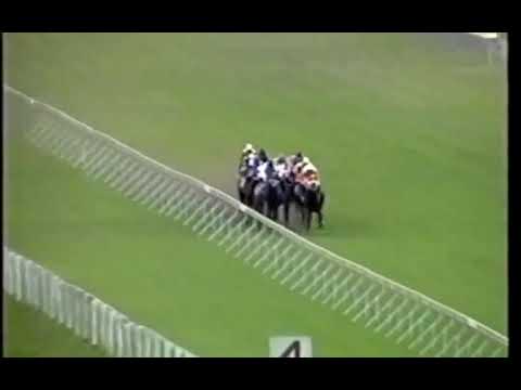 Royal Jest Mercury sprint