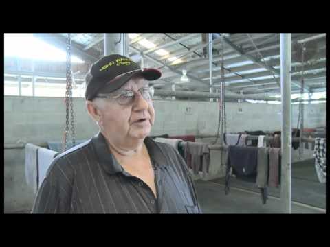 Magic Millions Race Day Preview - Profile John Wallace