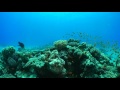 Dive with Extra Divers Makadi Bay @ Fort Arabesque, MakadiBay Panasonic LX100, Extra Divers - Makadi Bay , Ägypten, Safaga