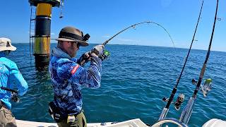 The Bay was ALIVE! | Bait, Birds, Fish &amp; sharks EVERYWHERE! (catch &amp; clean)