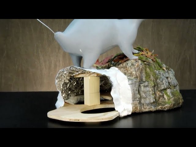 Introduction to Nature's Terrain Video