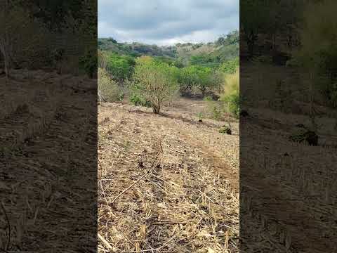 cantón la paz Guaymango Ahuchapan El Salvador saludos amigos 🙏🙏