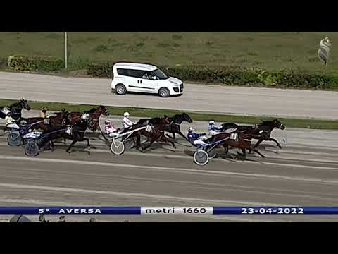 Aversa trotto 23 Aprile 2022 - 5° Corsa