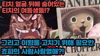 [원피스분석]티치 얼굴 뒤에 숨어있는 티치의 여동생들?! 그리고 이형을 고치기 위해 필요한 쵸파?!