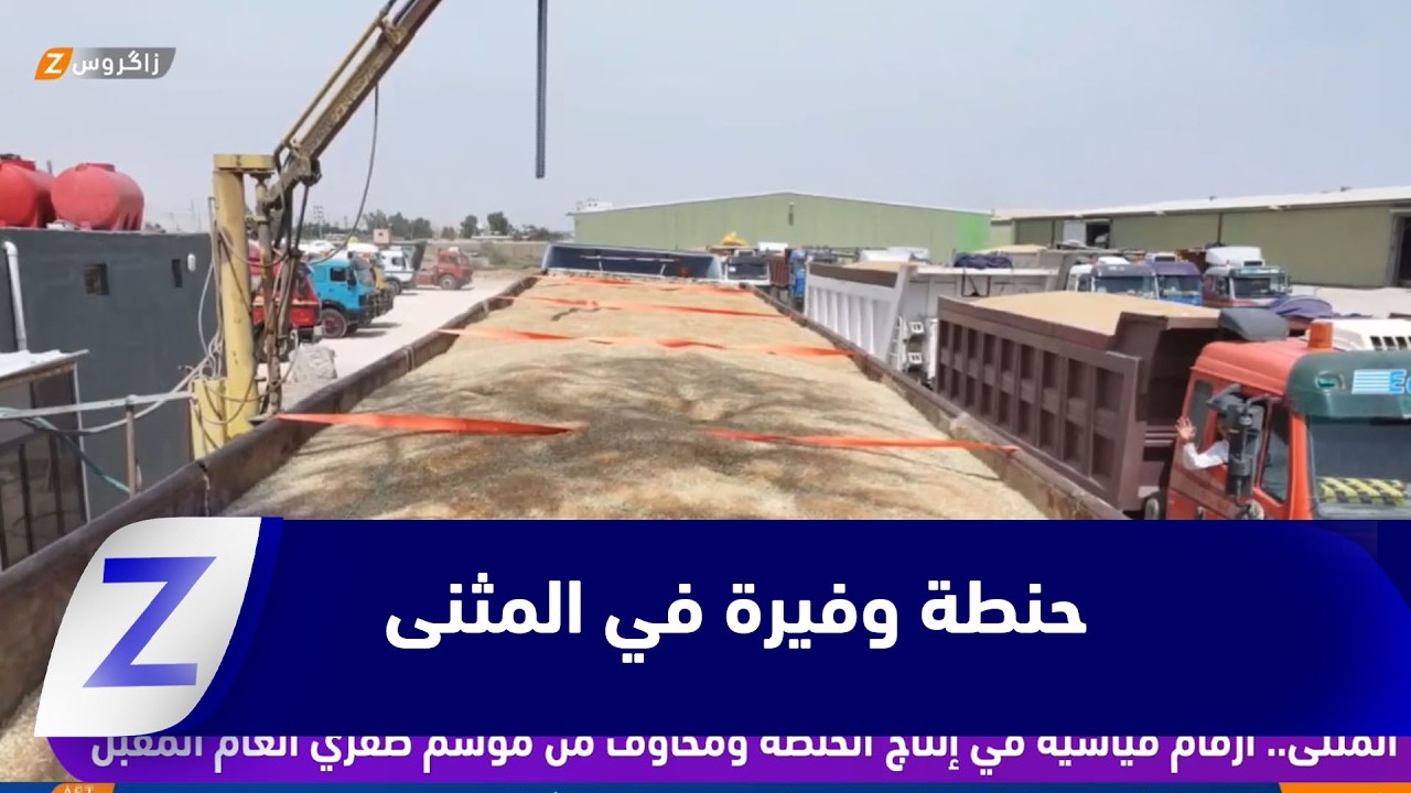فيديو | #المثنى.. أرقام قياسية في إنتاج الحنطة ومخاوف من موسم صفري العام المقبل