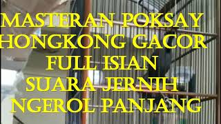 Download lagu MASTERAN POKSAY HONGKONG GACOR FULL ISIAN NEMBAK DAN NGEROL PANJANG SUARA KRISTAL DAN TAJAM mp3