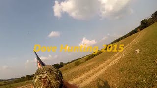 Dove Hunting 2015