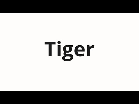 How to pronounce Tiger