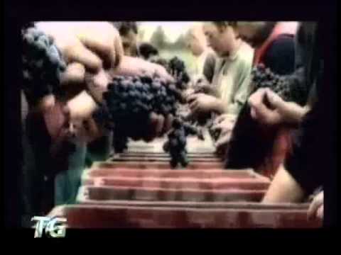 Muccioli lascia San Patrignano