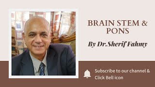 Dr. Sherif Fahmy - Brain stem & Pons