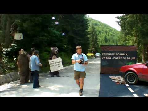 Protest DN66A — primele acțiuni