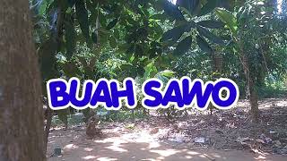 Download lagu SENI SUNDA | SITER KARAWANG | BUAH SAWO | KARAWITAN mp3 Download lagu SENI SUNDA | SITER KARAWANG | BUAH SAWO | KARAWITAN mp3
