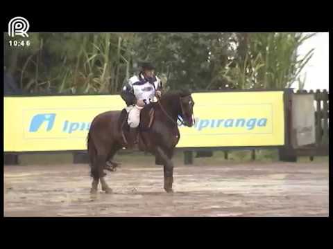 Classificatória Região Sul – 2° lugar machos – Hino da Saff (Prova: Bayard/Sarmento)