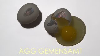 preview picture of video 'Ägg Gemensamt - En kortfilm av Erik Films Media'