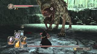 Dark Souls 2 Royal Rat Authority Boss TRICKS & TIPS For Easy Kill