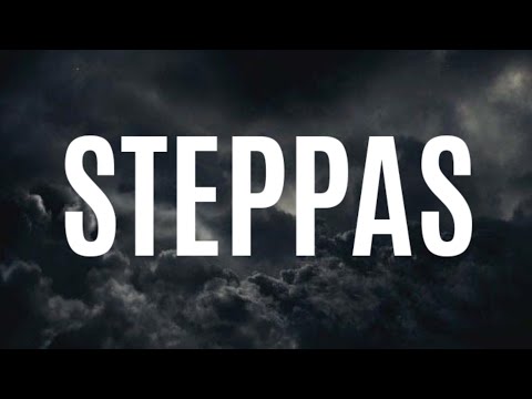 Yo Gotti, Moneybagg Yo, 42 Dugg, EST Gee, Mozzy, Blac Youngsta - Steppas [ LYRICS Video]