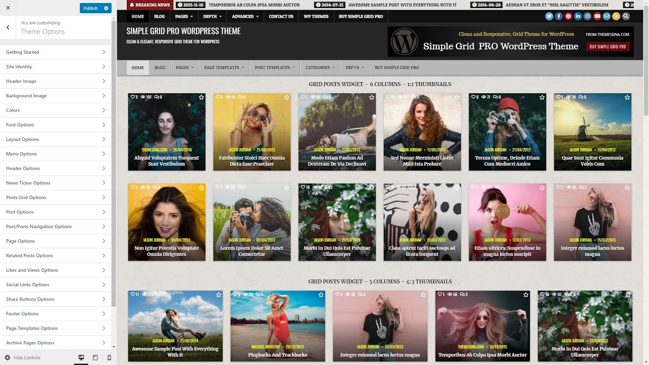Customizer Theme Options - Simple Grid PRO WordPress Theme