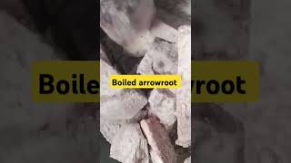 Download lagu Boiled arrowroots for breakfast / breakfast ideas / healthy breakfast #arrowroot mp3
