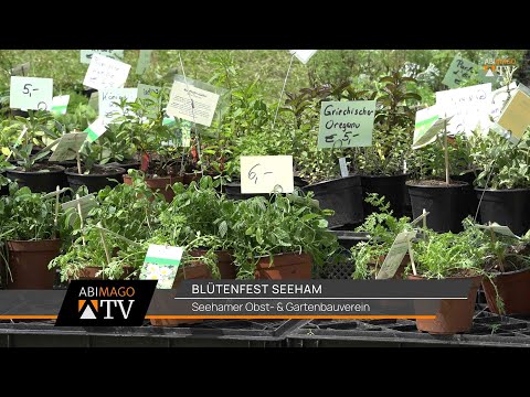 Blütenfest Seeham 2024