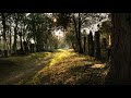 I Hear Leesha - Michael W. Smith