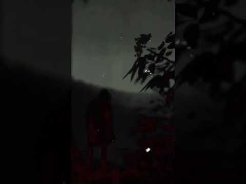 Rizo×Qüsura baxma(tezlikle)