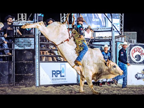 FINAL EM TOUROS - Rodeio de PALMARES PAULISTA 2025 (Oficial 4K)