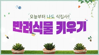 오늘부터 나도 식집사! 반려식물 키우기내용