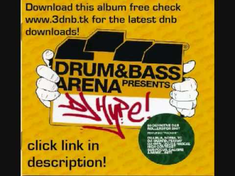 Drum & bass arena presents dj hype cd 1 track 16