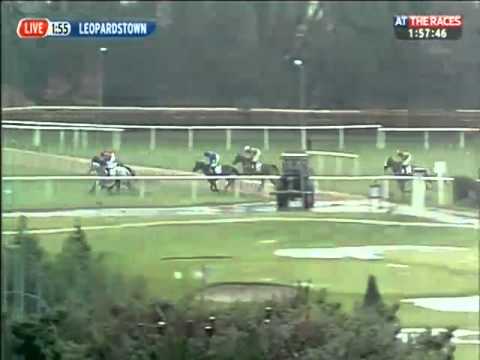 BHP Insurance Irish Champion Hurdle 2013