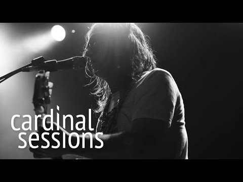Nevertheless - The Brian Jonestown Massacre