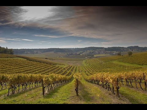 Shen alazano-Lela Nakeuri-Lyrics