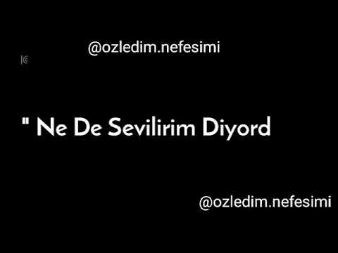 Sevgiye de sevilmyede tövbe etmiştik