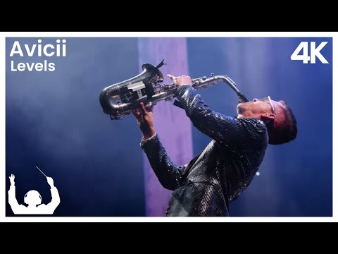 SYNTHONY - Avicii 'Levels' (Live at The Auckland Domain)