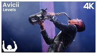 SYNTHONY - Avicii &#39;Levels&#39; (Live at The Auckland Domain)