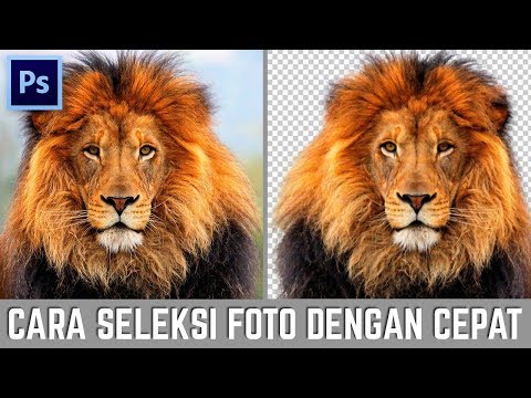 download lagu mp3 mp4 Tutorial Crop Gambar Di Photoshop, download lagu Tutorial Crop Gambar Di Photoshop gratis, unduh video klip Tutorial Crop Gambar Di Photoshop