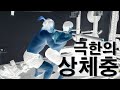 스쿼트 하다가 허리 박살 났습니다…